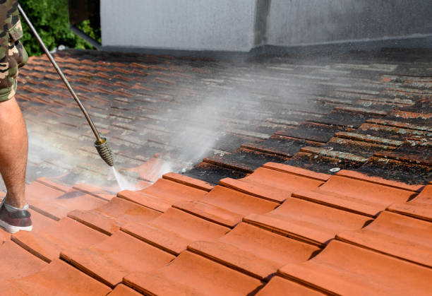 Local Pressure Washing Services in Providence Village, TX