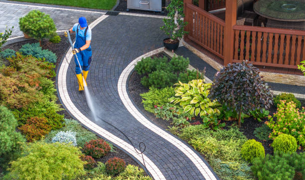 Best Pressure Washing Near Me  in Providence Village, TX